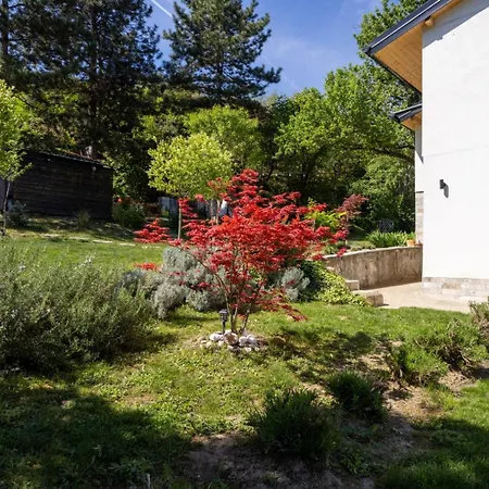 Honey House Villa Novi Slankamen