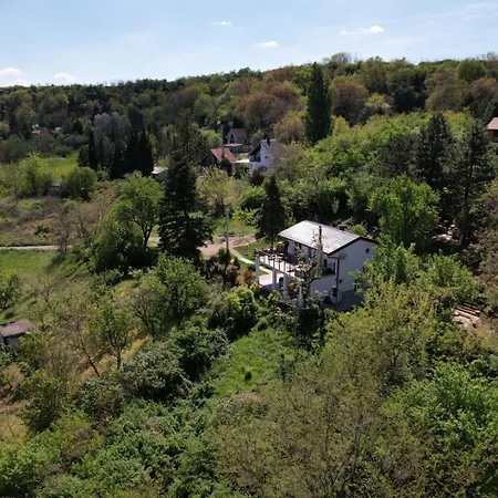 Honey House Villa Novi Slankamen