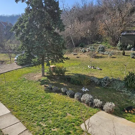 Villa Honey House Novi Slankamen