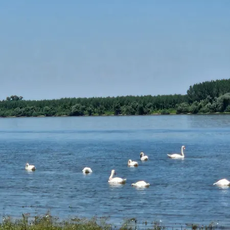 Honey House Villa Novi Slankamen