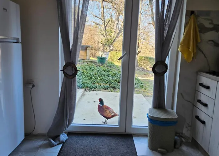 Honey House וילה