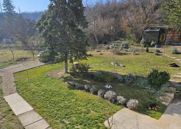 וילה Honey House Novi Slankamen