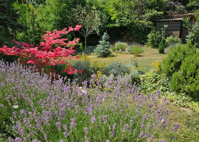 וילה Honey House